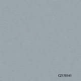 CZ170141-50