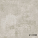 CA1101