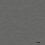 CZ170131-40